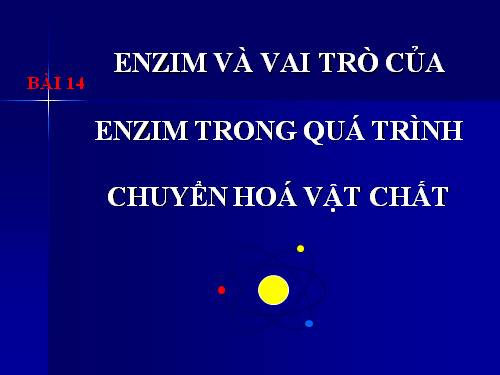 Bài 14. Enzim và vai trò của enzim trong quá trình chuyển hóa vật chất