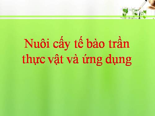 nuôi cấy tế bào trần