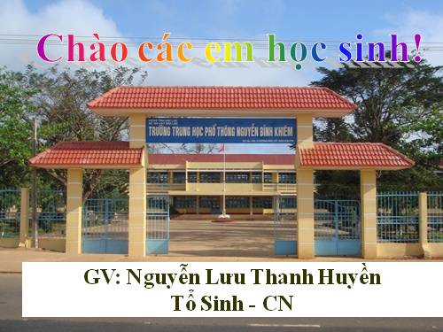 Bài 8. Tế bào nhân thực