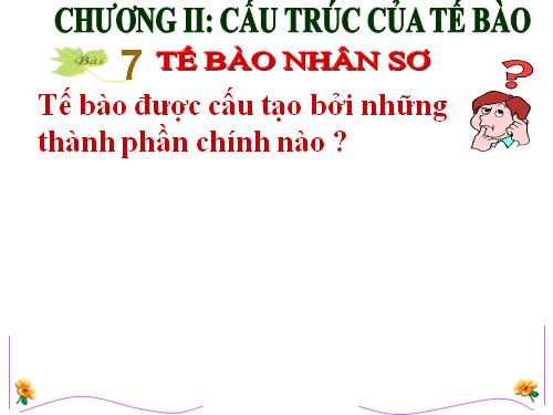 Bài 7. Tế bào nhân sơ