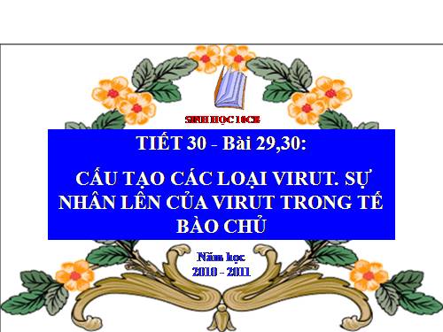 Bài 30. Sự nhân lên của virut trong tế bào chủ