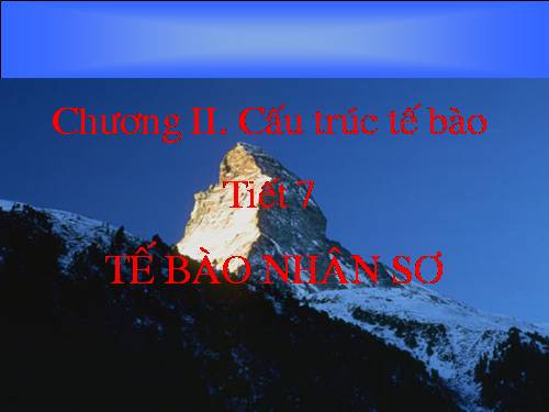 Bài 7. Tế bào nhân sơ