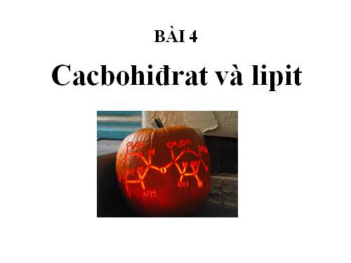 Bài 4. Cacbohiđrat và lipit