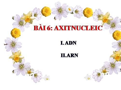 Bài 6. Axit nuclêic