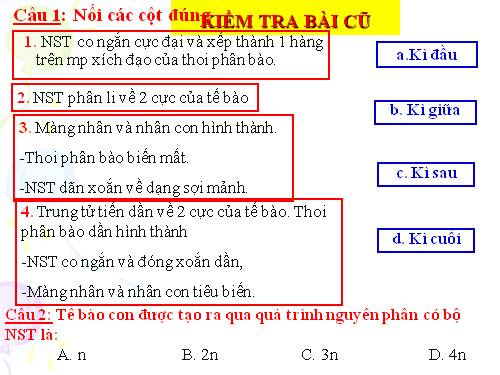 Bài 19. Giảm phân