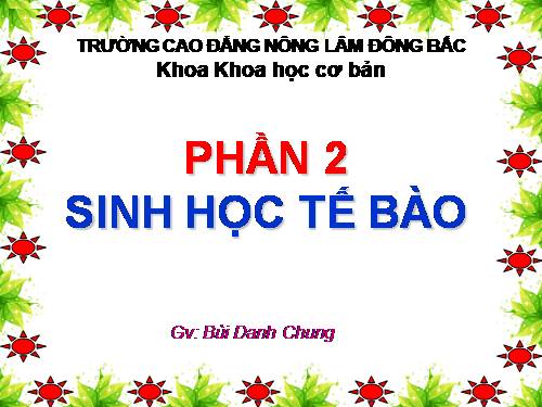 Bài 8. Tế bào nhân thực