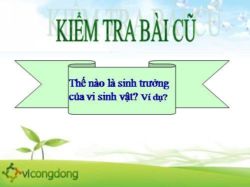 Bài 26. Sinh sản của vi sinh vật