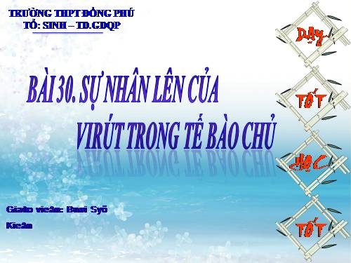 Bài 30. Sự nhân lên của virut trong tế bào chủ