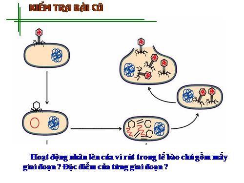 Bài 31. Virut gây bệnh, ứng dụng của virut trong thực tiễn