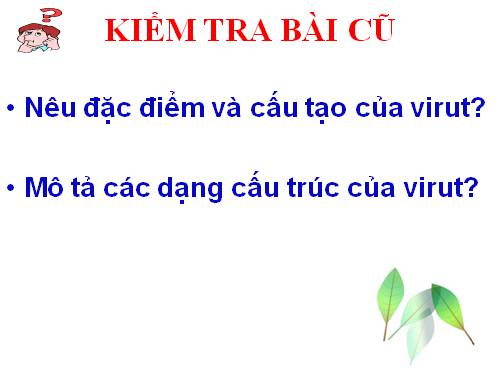 Bài 30. Sự nhân lên của virut trong tế bào chủ