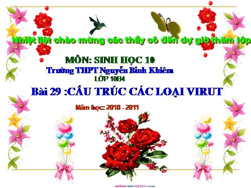 Bài 29. Cấu trúc các loại virut