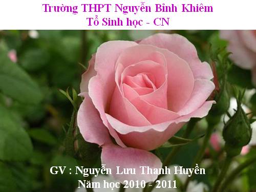 Bài 32. Bệnh truyền nhiễm và miễn dịch