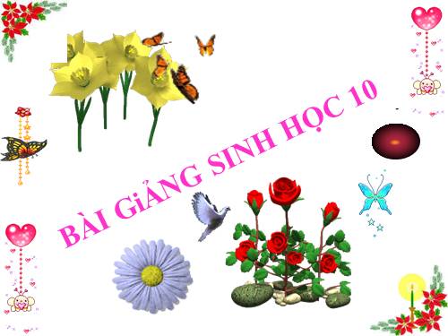 Bài 11. Vận chuyển các chất qua màng sinh chất