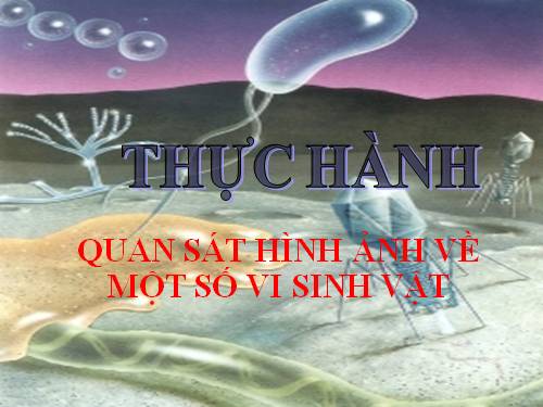 Bài 28. Thực hành: Quan sát một số vi sinh vật