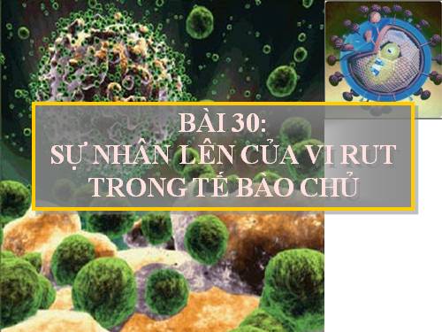 Bài 30. Sự nhân lên của virut trong tế bào chủ