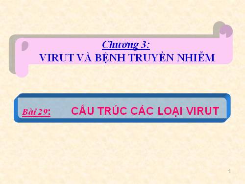 Bài 29. Cấu trúc các loại virut