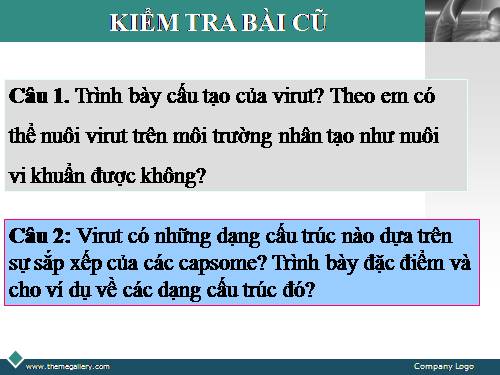 Bài 30. Sự nhân lên của virut trong tế bào chủ