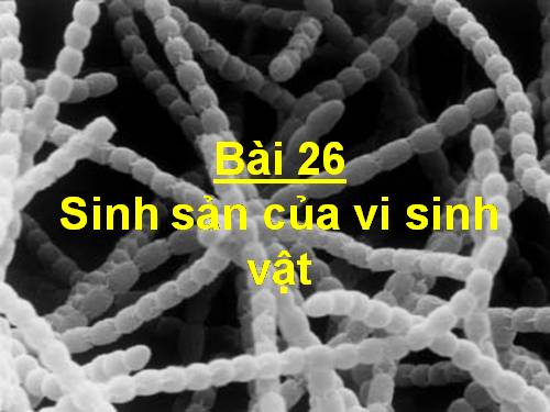 Bài 26. Sinh sản của vi sinh vật