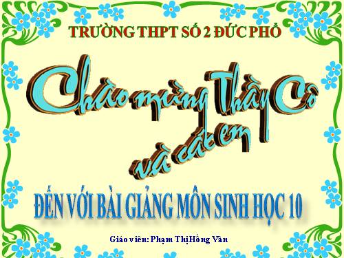 Bài 23. Quá trình tổng hợp và phân giải các chất ở vi sinh vật