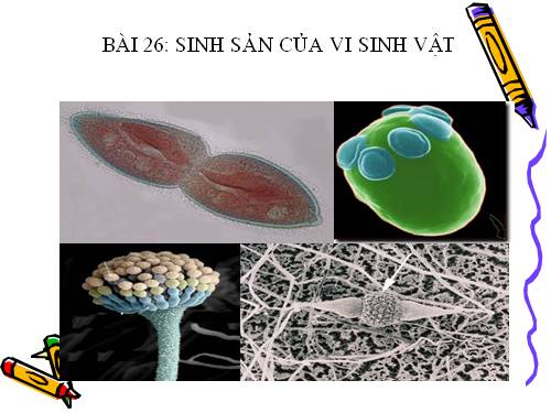 Bài 26. Sinh sản của vi sinh vật