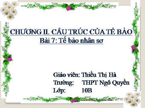 Bài 7. Tế bào nhân sơ