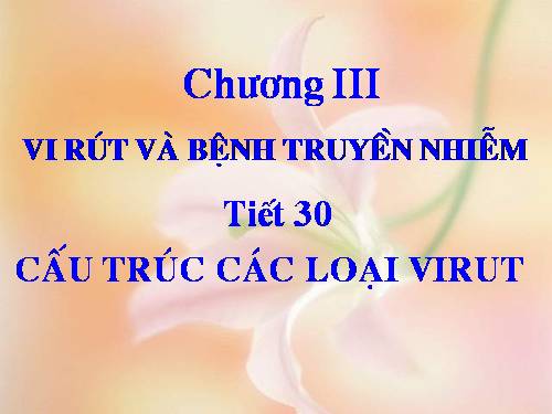 Bài 29. Cấu trúc các loại virut