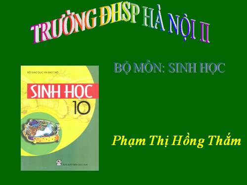 Bài 16. Hô hấp tế bào