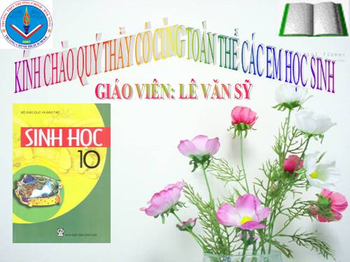 Bài 25. Sinh trưởng của vi sinh vật