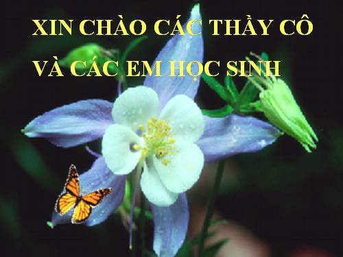 Bài 11. Vận chuyển các chất qua màng sinh chất