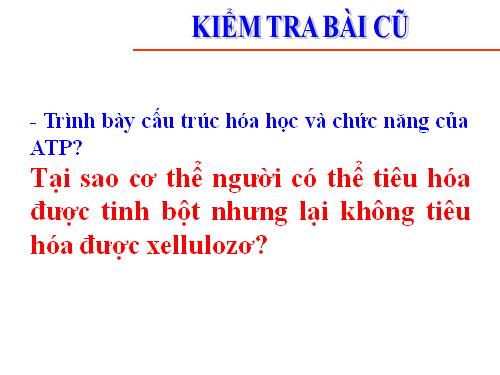 Bài 14. Enzim và vai trò của enzim trong quá trình chuyển hóa vật chất