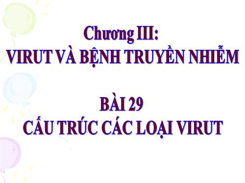 Bài 29. Cấu trúc các loại virut