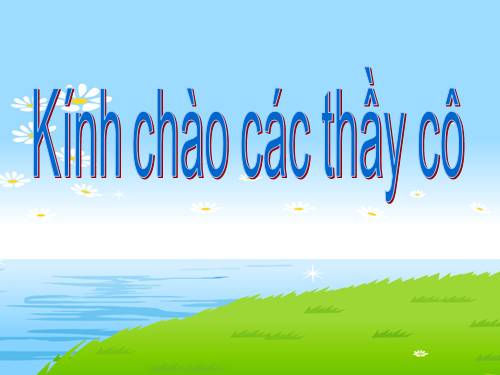 Bài 29. Cấu trúc các loại virut