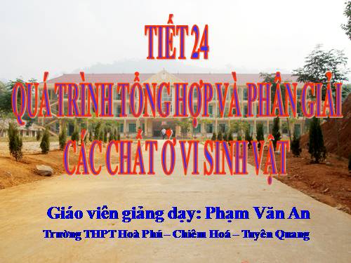 Bài 23. Quá trình tổng hợp và phân giải các chất ở vi sinh vật