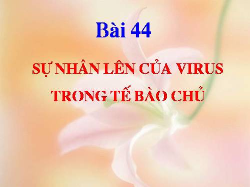 Bài 30. Sự nhân lên của virut trong tế bào chủ