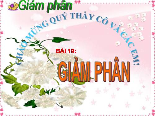 Bài 19. Giảm phân