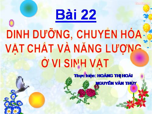 Bài 22. Dinh dưỡng, chuyển hóa vật chất và năng lượng ở vi sinh vật