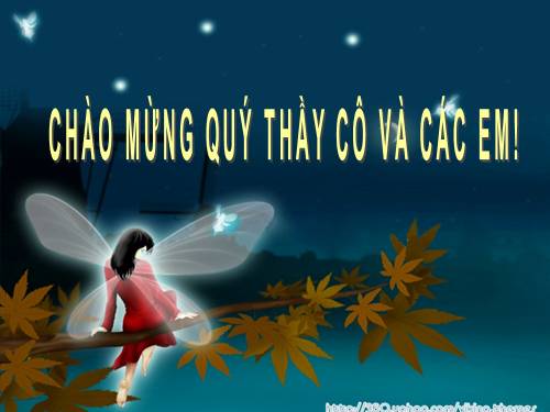 Bài 29. Cấu trúc các loại virut