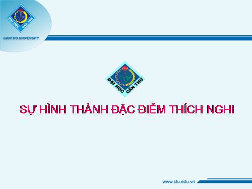 HÌNH THÀNH ĐẶC ĐIỂM THÍCH NGHI