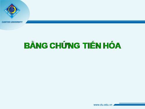 BẰNG CHỨNG TIẾN HÓA