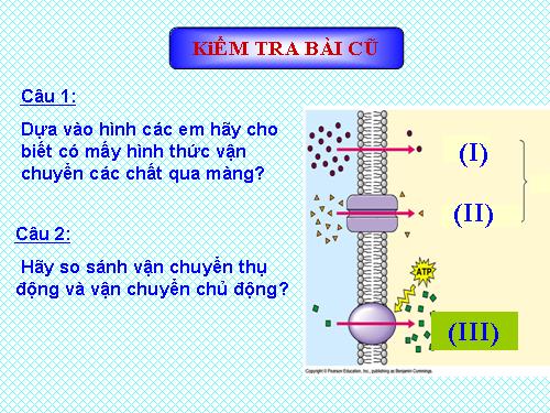 Bài 13. Khái niệm về năng lượng và chuyển hóa vật chất