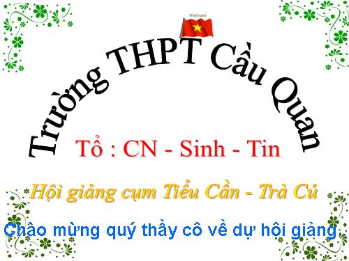 Bài 17. Quang hợp