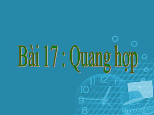 Bài 17. Quang hợp