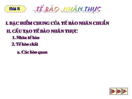 Bài 8. Tế bào nhân thực