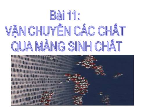 Bài 11. Vận chuyển các chất qua màng sinh chất