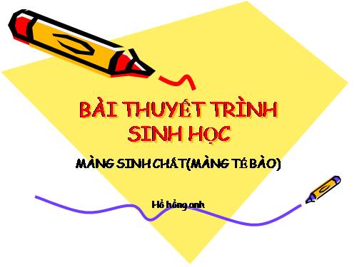 bài 10. tế bào nhân thực