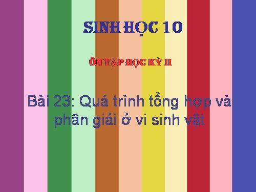 Bài 23. Quá trình tổng hợp và phân giải các chất ở vi sinh vật