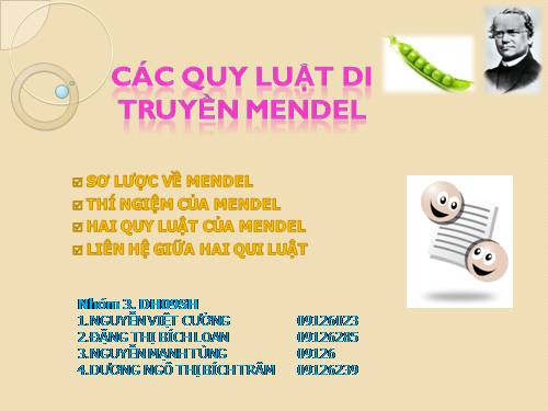 các quy luật di truyền mendel