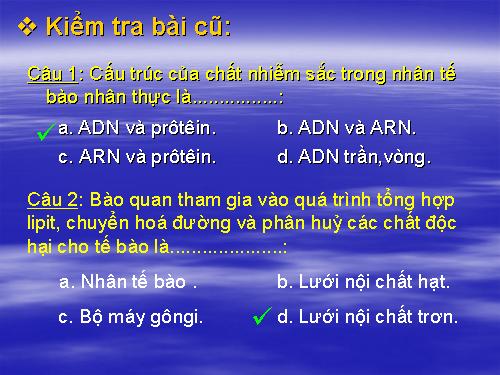 Bài 10. Tế bào nhân thực (tiếp theo)