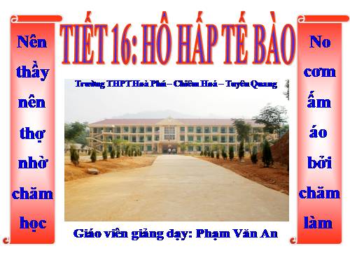 Bài 16. Hô hấp tế bào