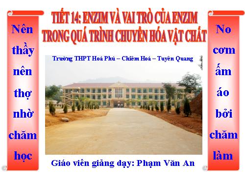 Bài 14. Enzim và vai trò của enzim trong quá trình chuyển hóa vật chất